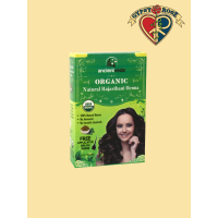 Organic All Natural Rajasthani India Henna Kit